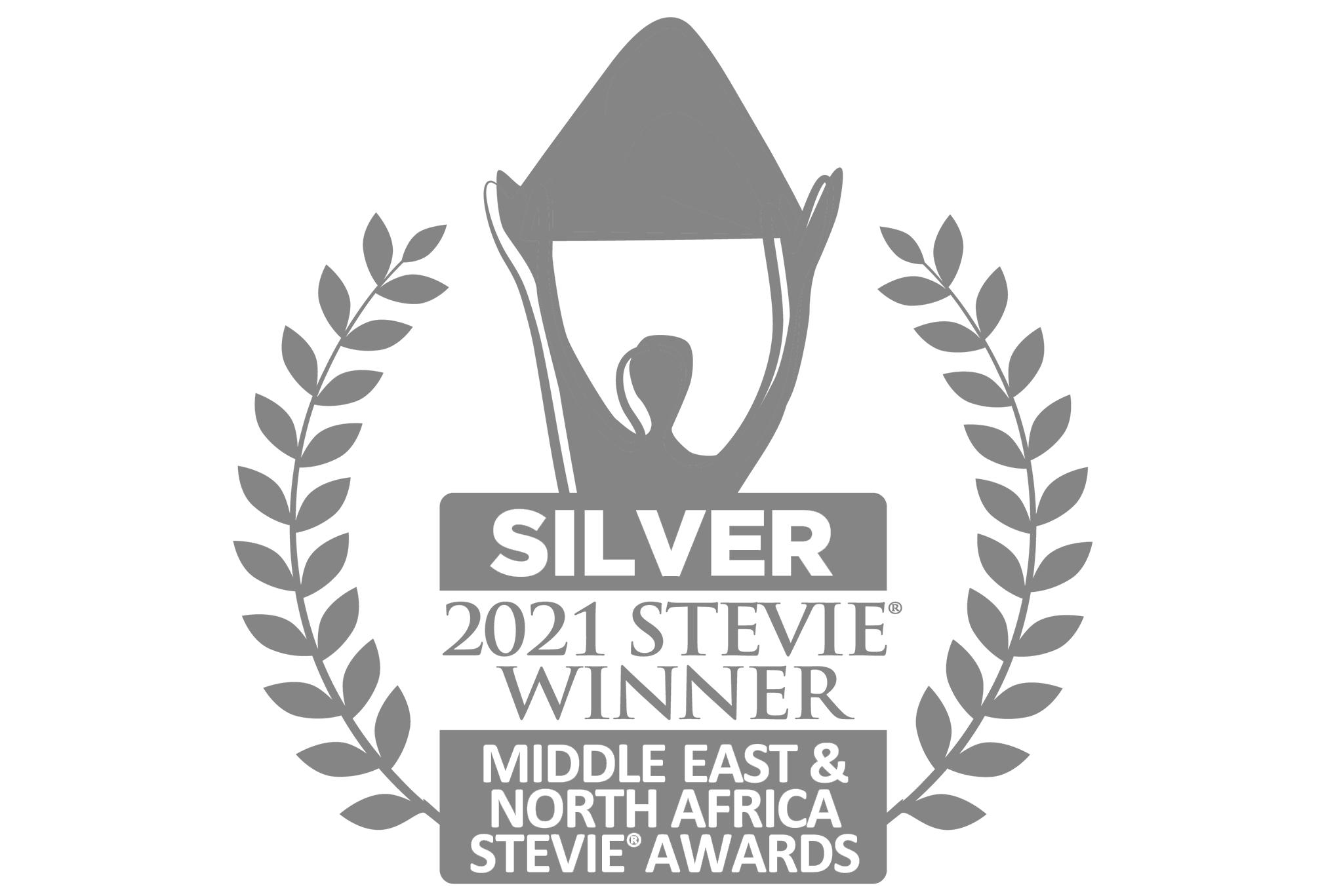 silver logo litum